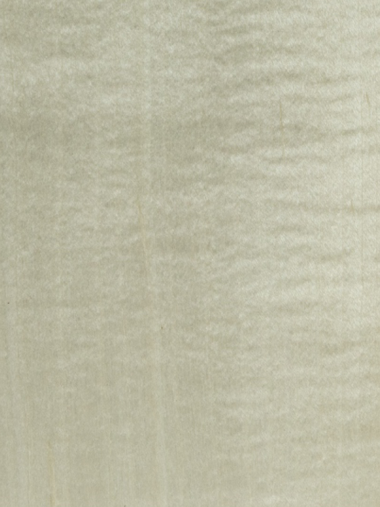 Dyed Figured Maple 03